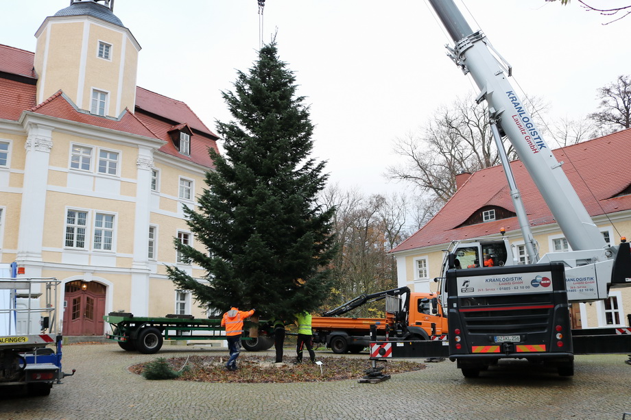 Weihnachtsbaum vor dem Stadtschloss